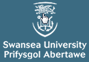 Swanseau University